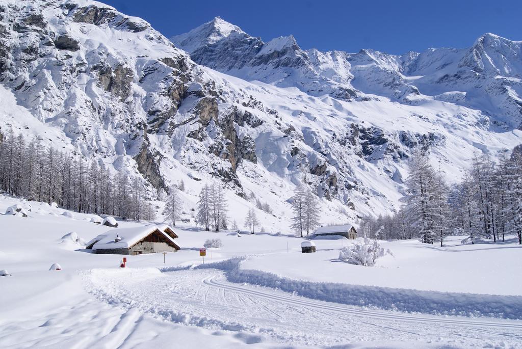 23 Praz De L'Ours Vallandry - Les Arcs Peisey-Nancroix Eksteriør bilde